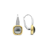 Ti Sento Yellow Gold Plated Grey Crystal and Cubic Zirconia Drop Earrings