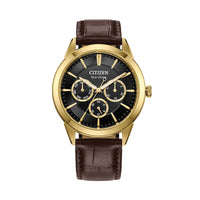 Citizen Eco-Drive Rolan Watch BU2112-06E