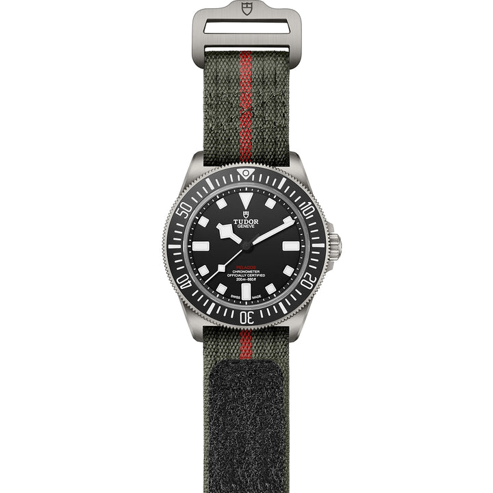 TUDOR Pelagos FXD 42mm Titanium Automatic Watch M25717N-0001