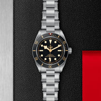 TUDOR Black Bay 58 39mm Chronometer Stainless Steel Automatic Watch M79030N-0001