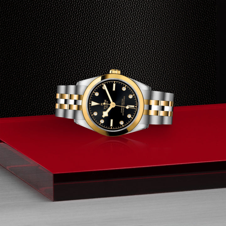 TUDOR Black Bay 31mm Chronometer Stainless Steel and Yellow Gold Diamond Automatic Watch M79603-0006