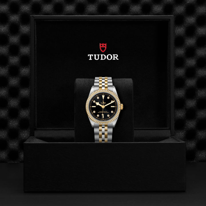 TUDOR Black Bay S&G 36mm Automatic Watch M79653-0005