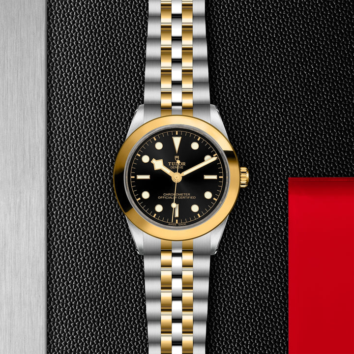 TUDOR Black Bay S&G 39mm Master Chronometer Automatic Watch M79663-0001 - Michael Jones Jeweller