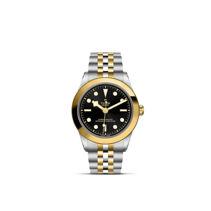 TUDOR Black Bay S&G 39mm Master Chronometer Automatic Watch M79663-0001 - Michael Jones Jeweller