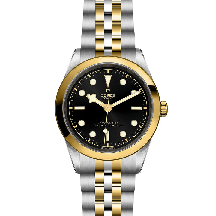 TUDOR Black Bay 41mm Chronometer Yellow Gold and Steel Automatic Watch M79683-0001