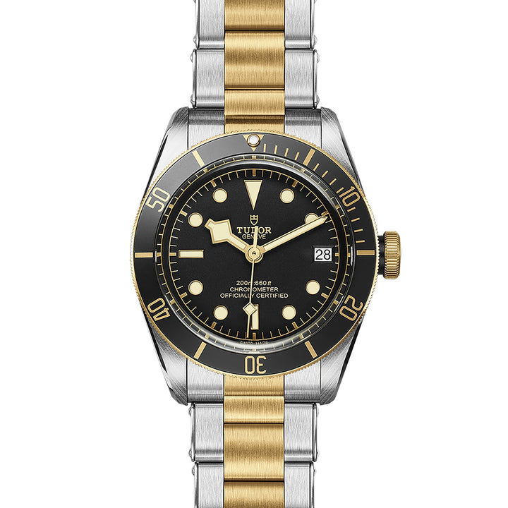 TUDOR Black Bay S&G 41mm Chronometer Yellow Gold and Steel Automatic Watch M79733N-0008