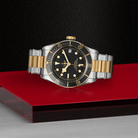 TUDOR Black Bay S&G 41mm Chronometer Yellow Gold and Steel Automatic Watch M79733N-0008
