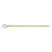 Ti Sento Yellow Gold Plated Rolo Chain Bracelet - Michael Jones Jeweller